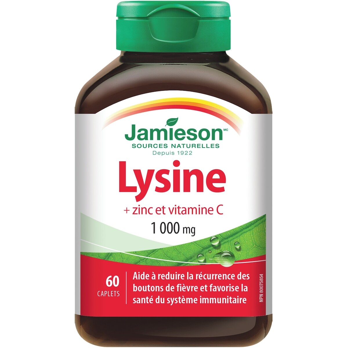 Lysine + Zinc et Vitamine C 1000 mg