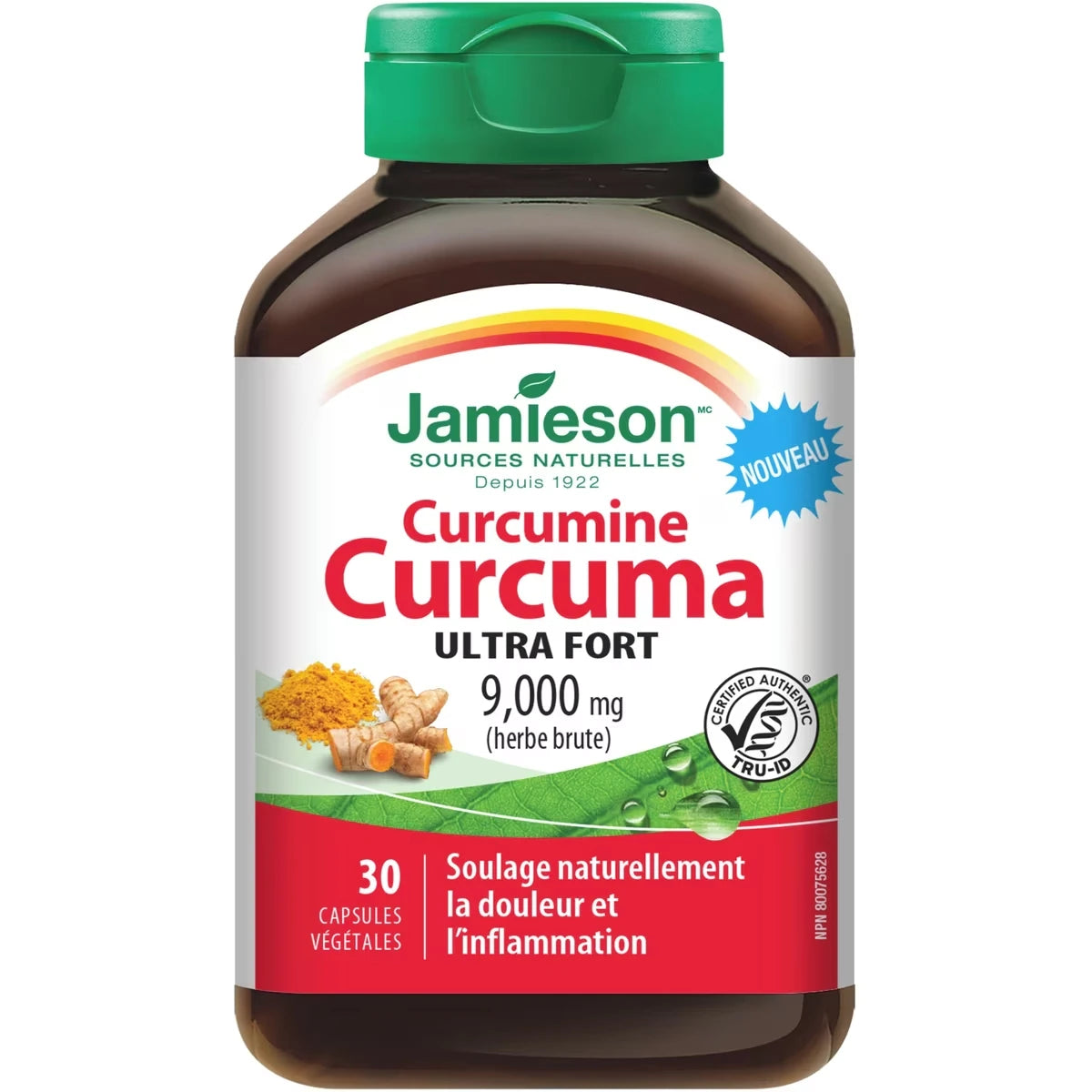 Curcumine de Curcuma Ultra Fort