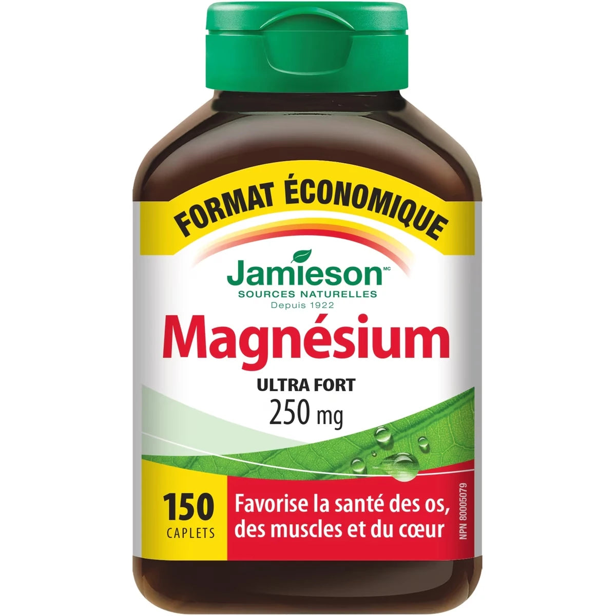 Magnésium 250 mg Format économique
