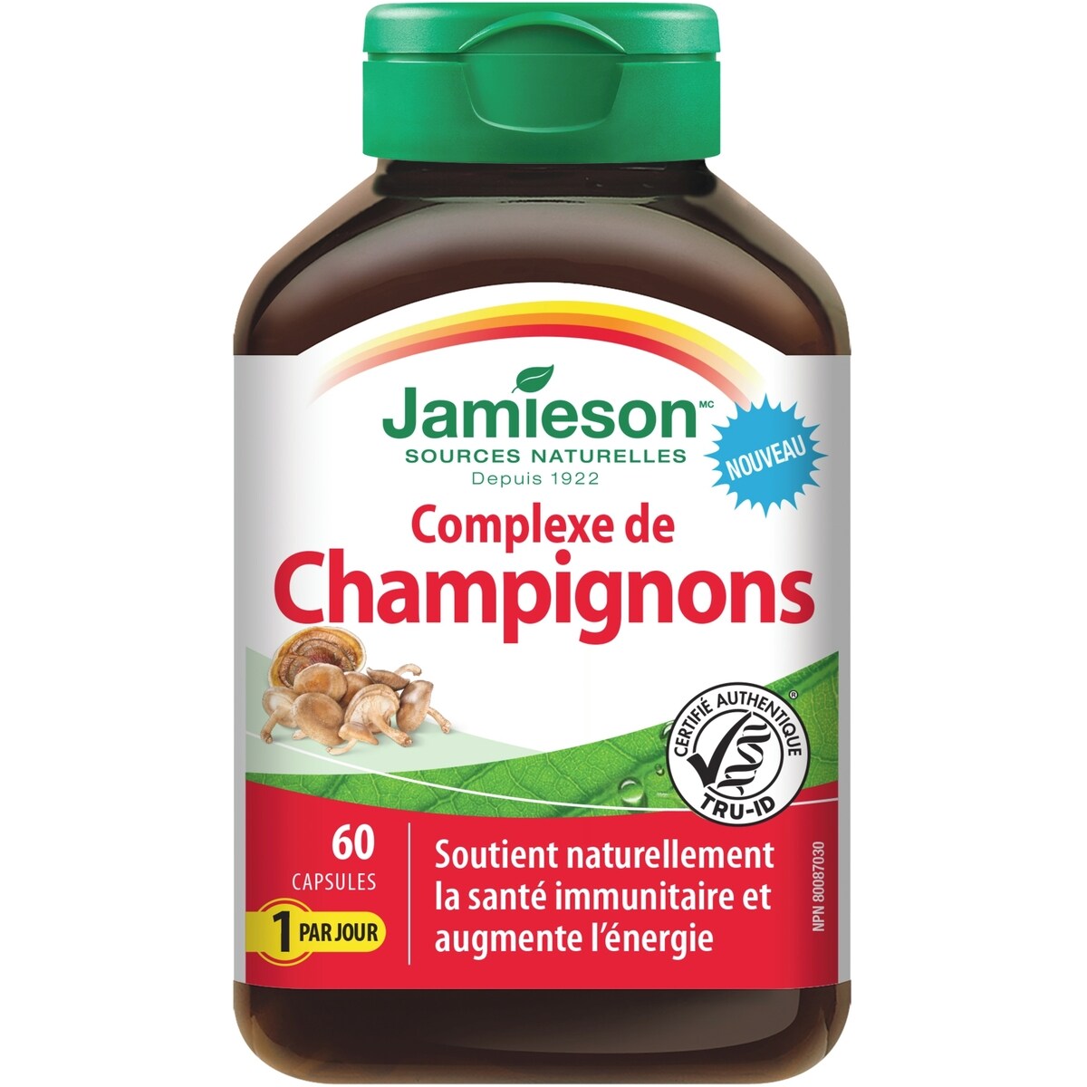 Complexe de Champignons