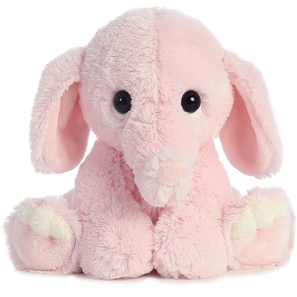 Lil' Benny Phant - Rose 10