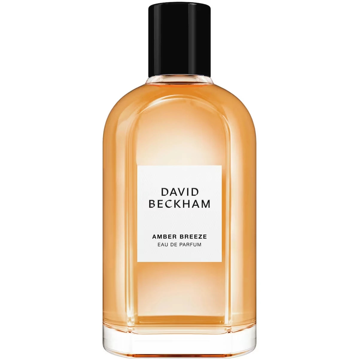 Eau de Parfum pour homme Amber Breeze, fraîche et aromatique, parfum longue tenue