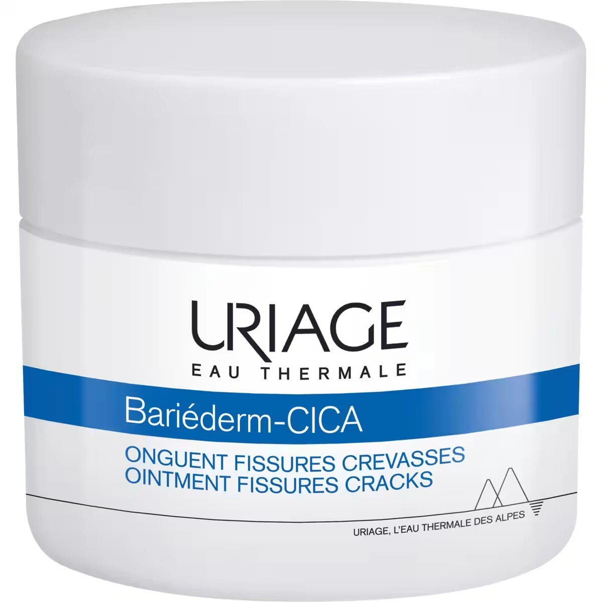 Bariéderm Onguent Fissures Crevasses