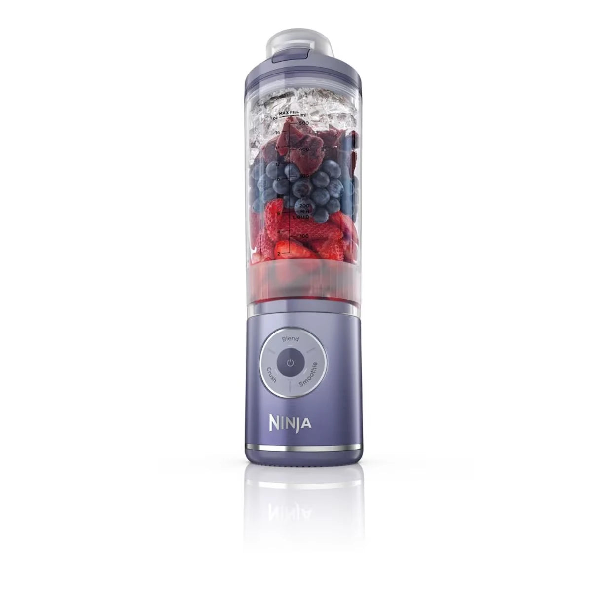 Mixeur portable sans fil Blast Max Lavande, 65 cl