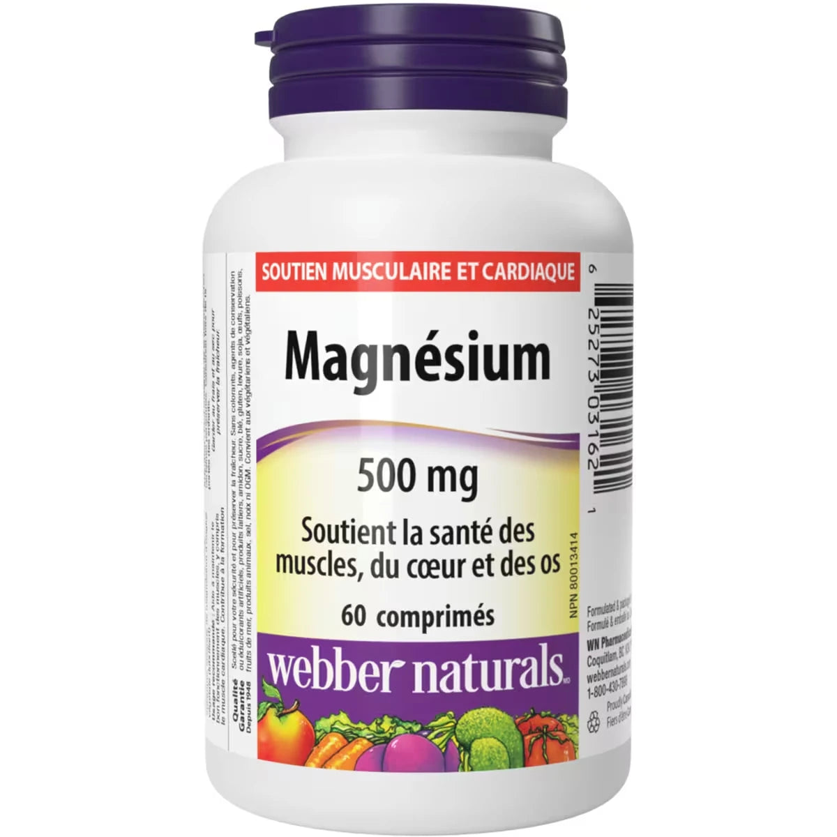 Magnésium Absorption accrue 500 mg