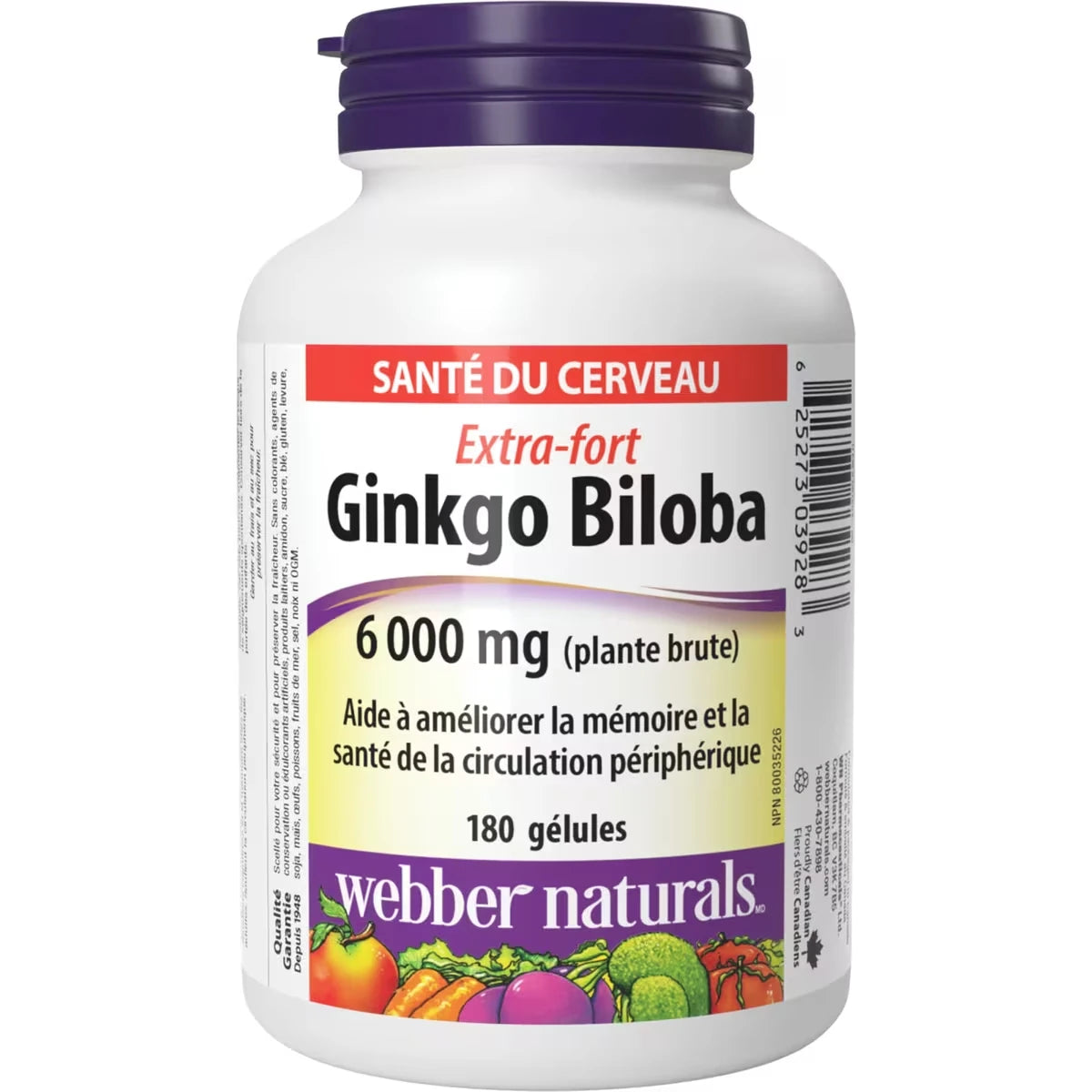 Ginkgo Biloba Extra-fort 6 000 mg (plante brute)