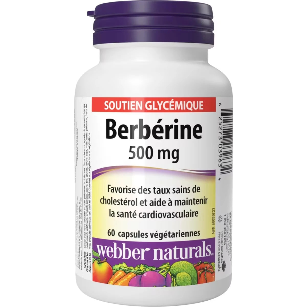 Berbérine 500 mg