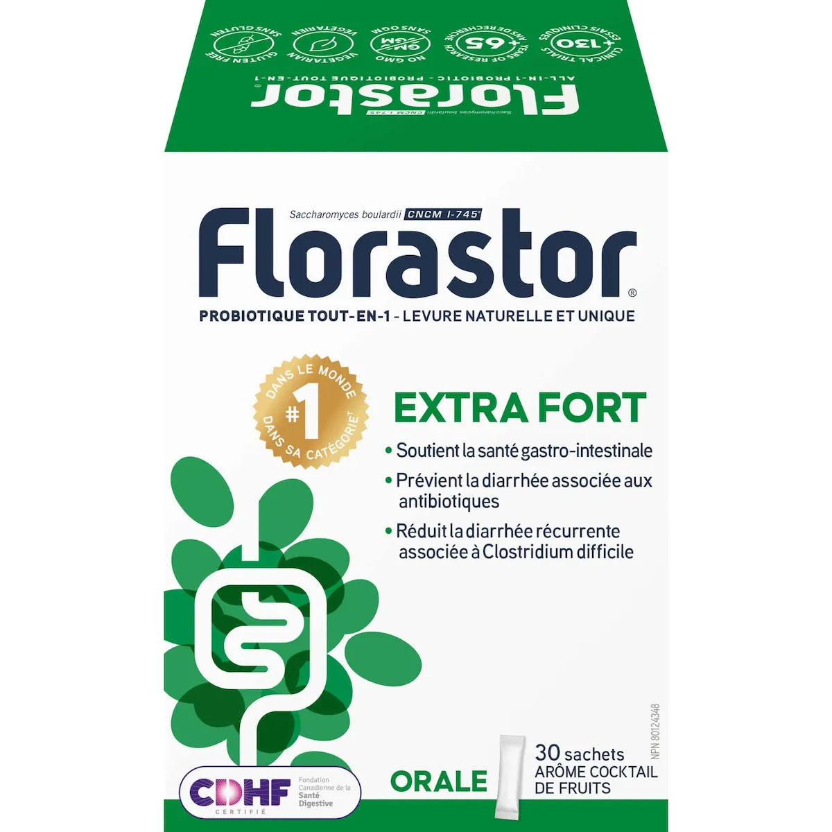 Extra Fort