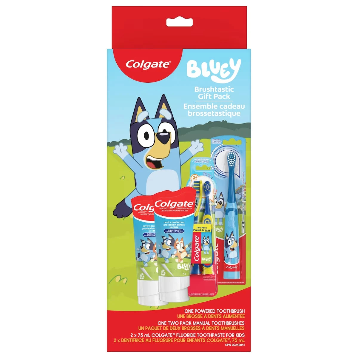 Coffret Cadeau Bluey